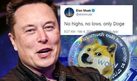 Tesla chief executive Elon Musk backs dogecoin 1393447