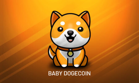 Elon Musk post about Baby Doge on Twitter and cryptocurrency shoots 230 Elon Musk post about 'Baby Doge' on Twitter and cryptocurrency shoots 230%