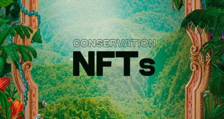 To protect itself Peru Alto Mayo Forest seeks sanctuary in the NFTs 1200x640