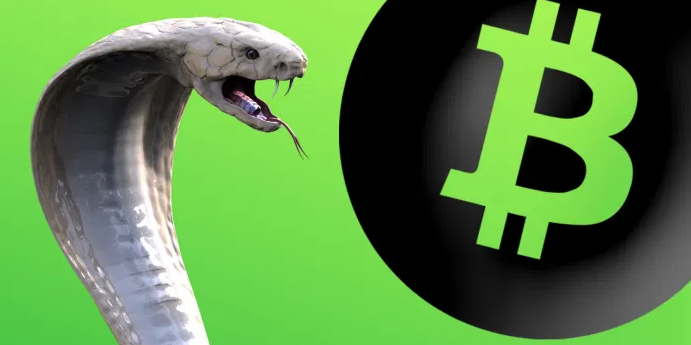 Bitcoin website suffered a DDoS attack with Bitcoin ransom demand. Cobra, whose true identity is unknown, is currently the main administrator of the Site and the war with David Wright might be the cause.