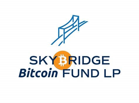 "We are only going to invest in Bitcoin", says the SkyBridge Capital CIO, who says the company will only invest in bitcoin after they have studied investing in gold