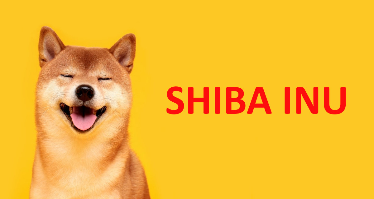 SHIBA INU accepted by Evonax,  a non-custodial cryptocurrency exchange that does not store funds on behalf of the client. Shiba Inu gained notoriety in May when its market capitalization reached $19 billion.