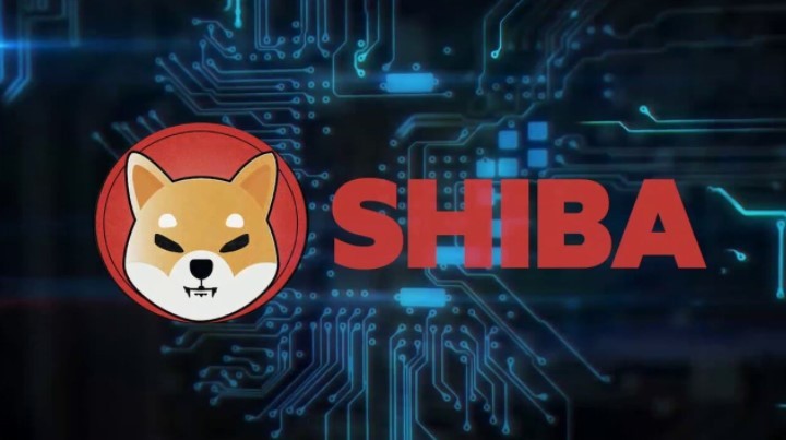Shiba Inu beats Dogecoin and, with this feat, becomes the 9th largest cryptocurrency by Market Value while Dogecoin ranks in 10th place. Both cryptocurrency prices are influenced by social media and Public Celebrities alike.