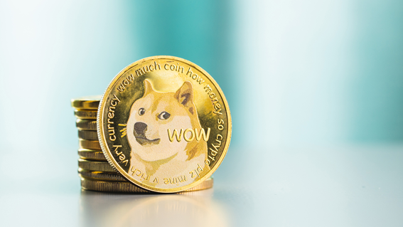 Charles Hoskinson, the founder of Cardano - the sixth-largest cryptocurrency by market value - has warned of Dogecoin's recent rise saying that dogecoin is a bubble.