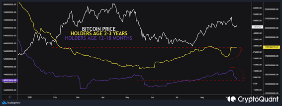 The bitcoin price adjustment is inevitable not a new bull market season. The suggestion is a price adjustment from here upwards and not a continuation of the corrective movement. 